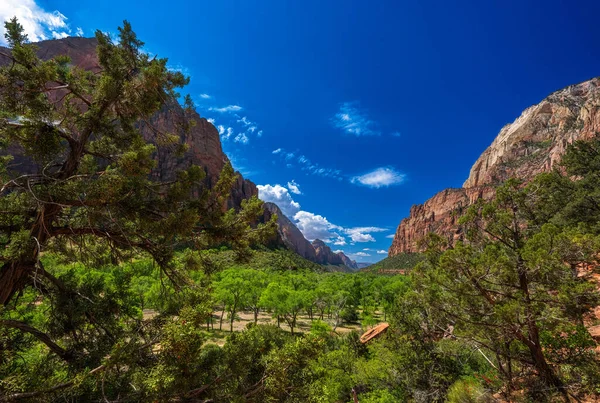 Park Narodowy Syjon Utah Usa 2023 Zion Wąski Parku Narodowym — Zdjęcie stockowe