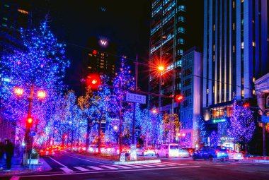 OSAKA, JAPONYA - 30 DEC 2023: Japonya 'nın Osaka şehrinin sokaklarındaki ağaçlarda bir sürü süsleme ışığı