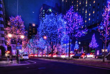 OSAKA, JAPONYA - 30 DEC 2023: Japonya 'nın Osaka şehrinin sokaklarındaki ağaçlarda bir sürü süsleme ışığı