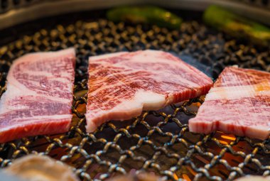 Japanese barbecue is called Yakiniku