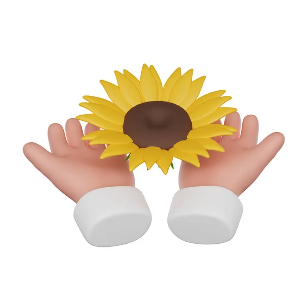Hände Halten Eine Sonnenblume Rendersymbol Isoliert Weißen Hintergrund — Stockfoto