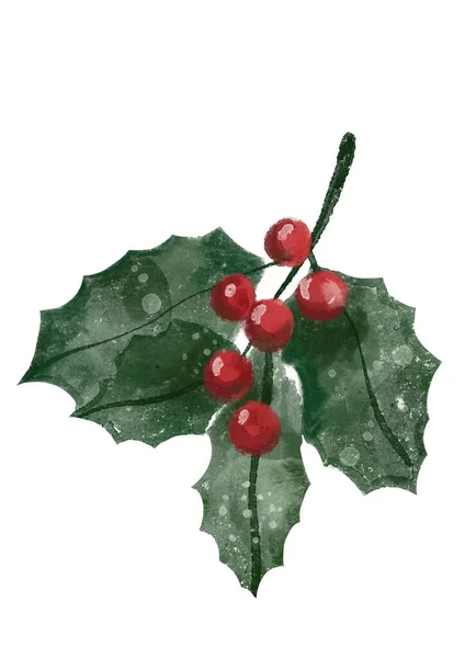 Watercolor Holly Berry Isolated White Background — Stock Photo, Image