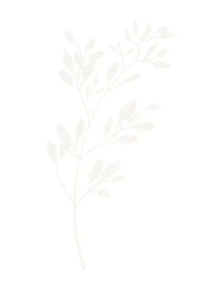 Kerstmis Winter Aquarel Bloemen Achtergrond Botanische Illustratie — Stockfoto