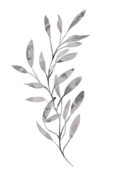 Natal Inverno Aquarela Mão Desenhada Ilustração Uma Planta Com Folhas — Fotografia de Stock