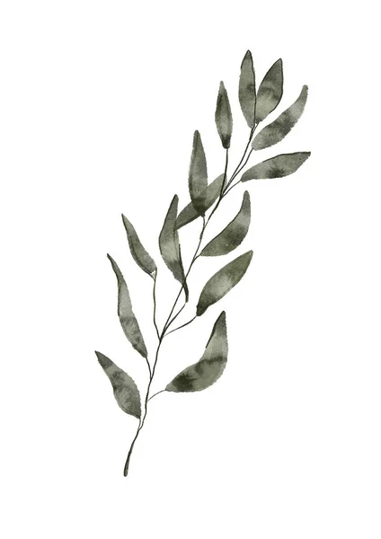 Weihnachten Winter Aquarell Handgezeichnete Illustration Eines Zweiges Einer Pflanze Mit — Stockfoto