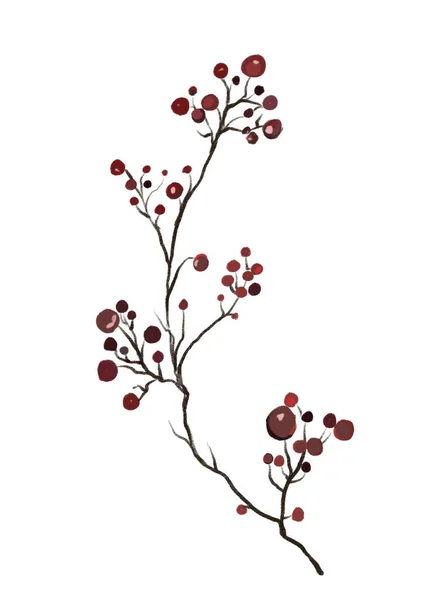 圣诞冬季水彩画手绘有浆果植物枝条的图解 — 图库照片