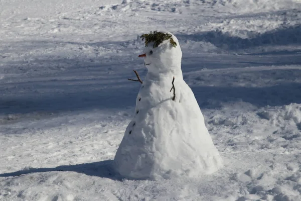 子供たち 冬とクリスマスのキャラクターによって作られた雪だるま — ストック写真