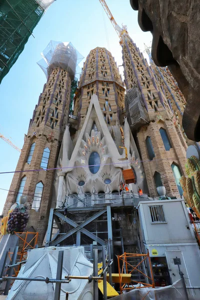 Barselona Spanya Haziran 2023 Sagrada Familia Katedrali Turistik Yer — Stok fotoğraf