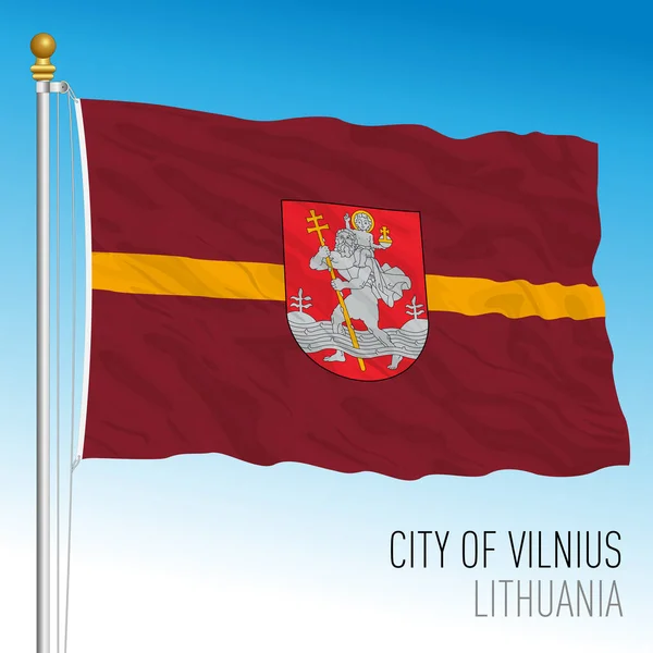 Vilnius Stadsvlag Litouwen Europa Vectorillustratie — Stockvector
