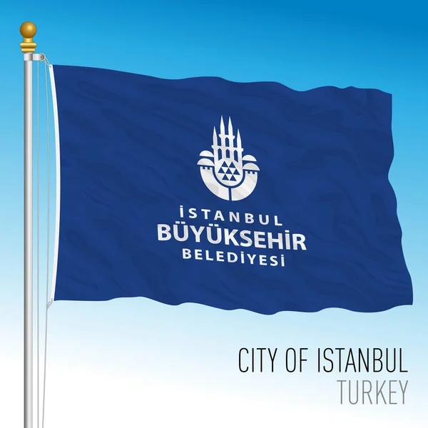 Bandera Del Banderín Estambul Turquía Ilustración Vectorial — Archivo Imágenes Vectoriales