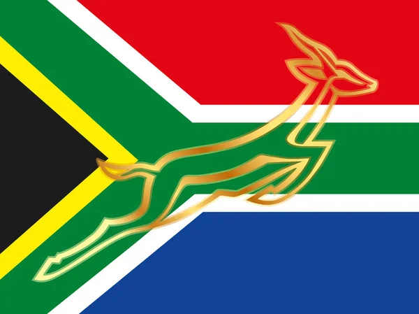 国旗背景上的南非橄榄球符号 矢量图解 — 图库矢量图片#