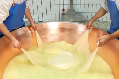 Modena, Emilia Romagna, İtalya, Ocak 2024, Parmigiano Reggiano peynirinin işleme safhaları, tüm dünyada meşhur olan tipik bir süt ürünü.