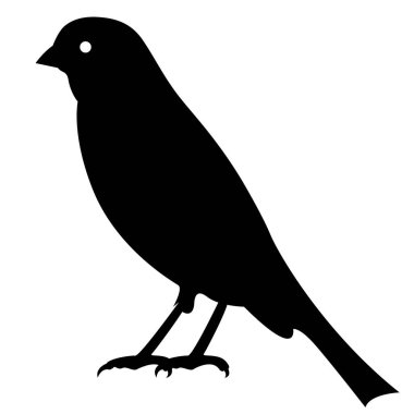 Kanarya kuş silueti, beyaz arka planda izole edilmiş, vektör illüstrasyonu