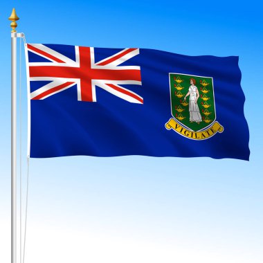 British Virgin Islands official national waving flag, american country, vector illustration
