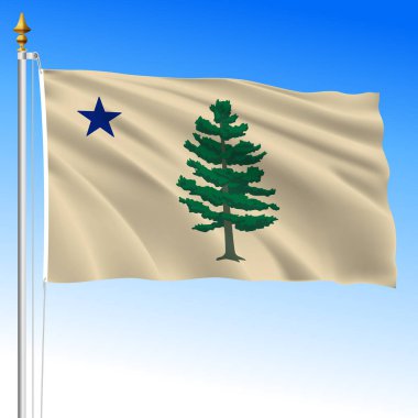 Maine ABD federal eyaleti 2024 bayrağı sallıyor, Birleşik Devletler, vektör illüstrasyonu