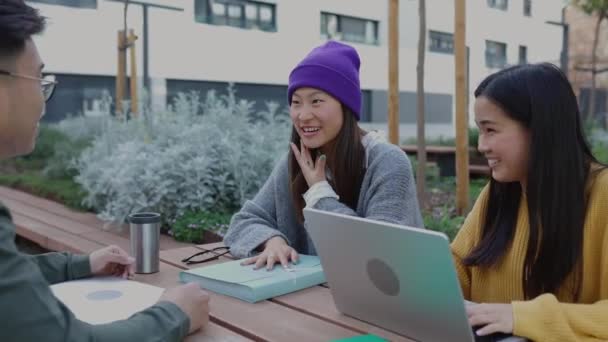 Drei Junge Ethnische Studentenfreunde Unterhalten Sich Während Ihres Gemeinsamen Studiums — Stockvideo