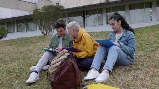 Νεαρή Ομάδα Φοιτητών Που Μελετούν Μαζί Κάθεται Στο Γρασίδι Στην — Αρχείο Βίντεο
