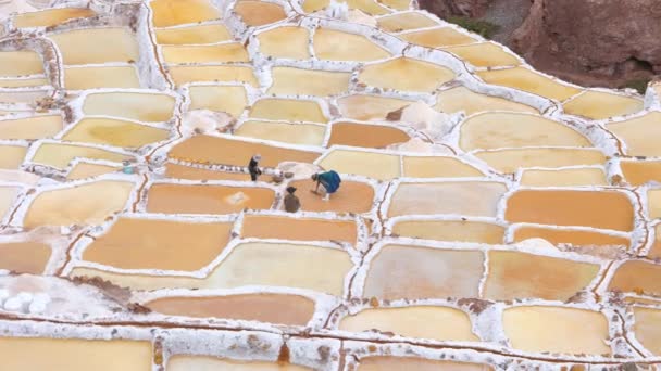 Unrecognizable Peruvian People Working Salinas Maras Cusco Salt Extraction Peru — Stock Video