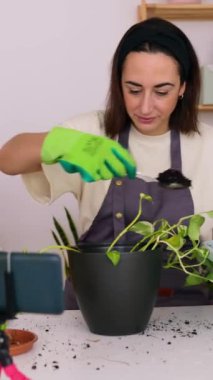 Genç bir kadın cep telefonuyla video dersi veriyor. Kendi evinizde altın pothos ya da Epipremnum aureum 'u nasıl ekeceğinizi anlatıyor. DIY, hobiler ve blog konsepti.