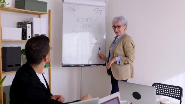 Professionelle Senior Unternehmerin Präsentiert Ideen Für Ein Neues Firmenprojekt Kommunikation — Stockvideo