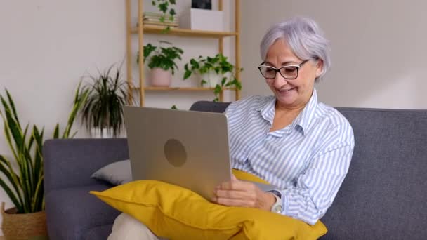 Yaşlarda Olgun Bir Kadın Evdeki Koltukta Dizüstü Bilgisayar Kullanıyor Emekli — Stok video