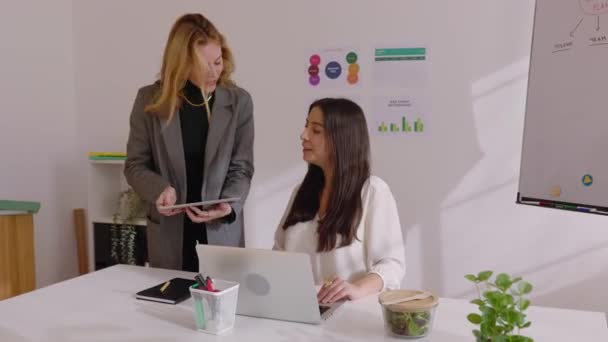 Profesyonel Kadını Laptopta Birlikte Çalışarak Planlama Şirket Stratejisini Tartışıyorlar — Stok video