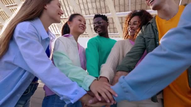 Wielorasowych Szczęśliwych Przyjaciół Rękami Kupie Wieloetniczna Grupa Studentów Łącząca Swoje — Wideo stockowe