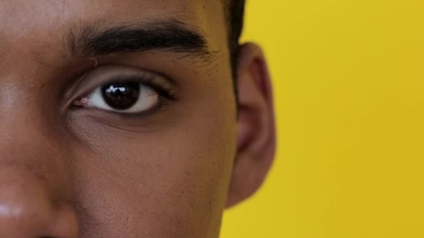 Ung Afrikansk Amerikan Ansikte Ler Mot Kameran Nöjda Uttryck Positiva — Stockvideo