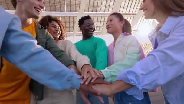 スタック内の手を持つ多人種幸せな友人 多民族の多様な大学生が手を携えています 手の概念 コミュニティ チームワークの概念を積み重ねる — ストック動画