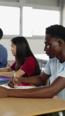 Dikey video. Sınıfta öğretmenlik dersini dinleyen çok ırklı bir grup öğrenci. Lisede okuyan çok ırklı bir genç. Eğitim kavramı