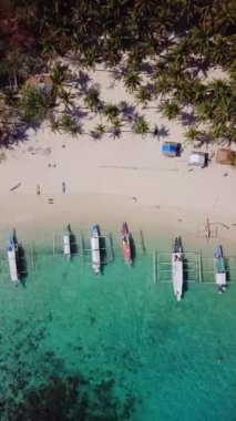 Siete Pecados Beach, Palawan, Filipinler 'deki palmiye ağaçları ve filipino tekneleriyle dolu güzel beyaz kumsal manzarası. Dikey HD video.