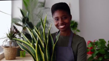 Neşeli, gülümseyen bir bayan küçük işletme sahibinin portresi. Genç Afrikalı girişimci kadın fabrika atölyesinde ev bitkisi tutuyor.. 