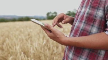 Genç çiftçi erkek, altın buğday tarlasında dijital tablet kullanıyor. Teknoloji, tarım sektörü ve hasat kavramı.