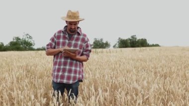 Genç çiftçi erkek altın buğday tarlasında dijital tablet kullanıyor. Teknoloji, tarım sektörü ve hasat kavramı.