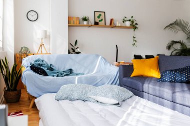 Parlak oturma odasının içinde kanepeler, yataklar, ahşap raflar ve bitkiler var.