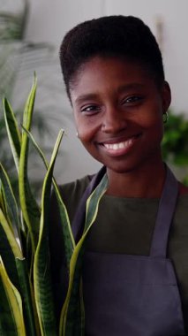 Neşeli, gülümseyen küçük işletme sahibinin dikey HD portresi. Genç Afrikalı girişimci kadın fabrika atölyesinde ev bitkisi tutuyor.. 