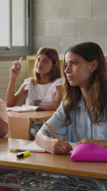 Okulda birlikte ders çalışan mutlu ilkokul öğrencisinin dikey HD videosu. Eğitim yaşam tarzı kavramı