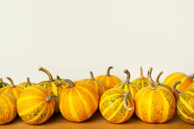 Hafif arka planda dekoratif balkabakları. Şükran Günü. Cadılar Bayramı konsepti Pankart. Boşluğu kopyala.