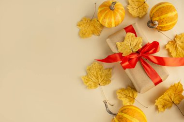 Hediye kutuları, sonbahar yapraklı taze balkabakları. Şükran Günü hediyeleri. Sonbahar konsepti. Pankart. Düz yatıyordu. Boşluğu kopyala.