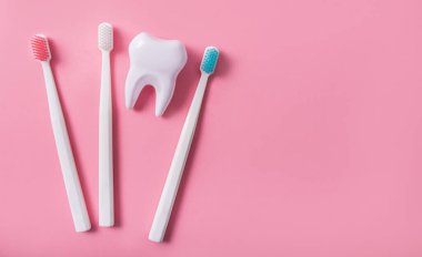 Three toothbrushes next to a big tooth on a pink background. Oral hygiene. Flat lay, top view, banner. Copy space.
