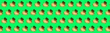 St. Patrick's Day background. Golden shamrock on a green background. Pattern. Copy space.