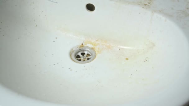 Sprzątam Brudny Zlew Łazience Ręka Kobiety Spryskuje Umywalką Sprayem — Wideo stockowe