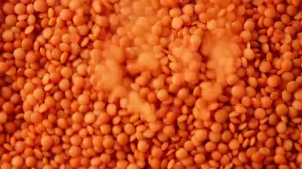 Lentilles Orange Vue Dessus Les Lentilles Tombent Rotation Lente Haricots — Video