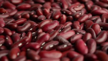 Kırmızı fasulye dönüyor. Çiğ fasulye. Yan görünüm.