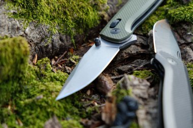 Ahşap bir yüzeyde katlanmış bir çakı.