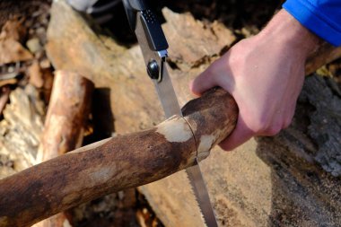 Ormanda testere kullanarak.