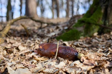 Ormandaki kuru yaprakların üzerinde boş bir plastik şişe var. Ekolojik sorun plastik atıkların olduğu bir orman..