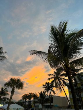 Silhouette of palm trees at sunset of red orange sky. High quality photo
