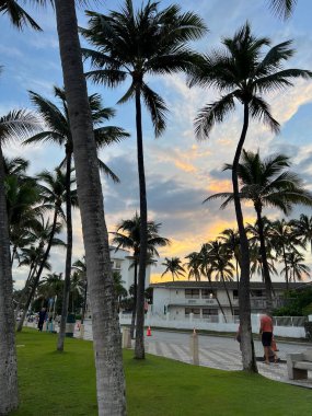 Silhouette of palm trees at sunset of red orange sky. High quality photo