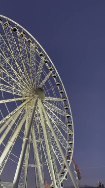 Ferris wheel in the park in Miami at sunset. High quality photo